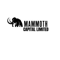 Mammoth Capital Limited logo - Similar company to Mammoth Capital