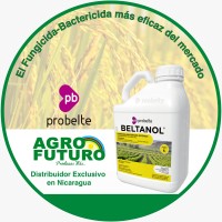 AGROFUTURO logo - Similar company to Happyclean