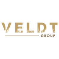 Veldt Group Pty Ltd logo - Similar company to Endeto Project Services