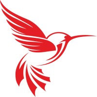 Hexabirds logo - Similar company to Nextwork Technologies  Limited