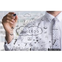 Strategy-Driven Success logo - Similar company to Buzz Spheres