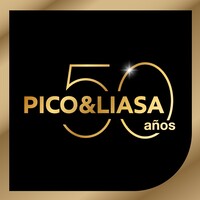 Pico&Liasa logo - Similar company to Millenium Computer Systems