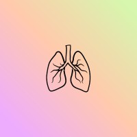 Colectivo Breathwork logo - Similar company to Haab Project