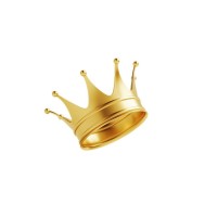 Royal Coaching Academy logo - Similar company to Vibliotec Oficial