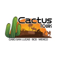 Cactus Tours logo - Similar company to Twenty4Seven Groups