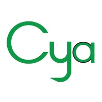 Cya Co.,Ltd logo - Similar company to Idealump