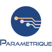 Parametrique Electronic Solutions Pvt. Ltd. logo - Similar company to Radius Infratel Pvt Ltd