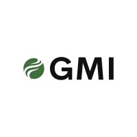 Green Mining Intelligence logo - Similar company to Dmv Mining Intelligence