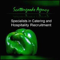 Scattergoods Agency Limited logo - Similar company to Econex