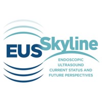 EUS Skyline logo - Similar company to Eus-Endo