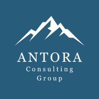 Antora Consulting Group logo - Similar company to Comstasis
