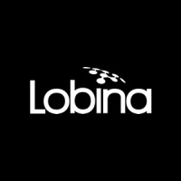Lobina Premium logo - Similar company to Cargo Experts