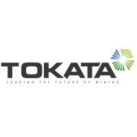 TOKATA GROUP OF COMPANIES logo - Similar company to Mutavhatsindi Group Of Companies (Pty) Ltd