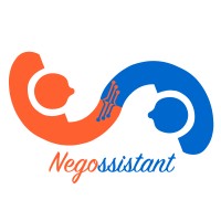 Negossistant logo - Similar company to Smartup Visa