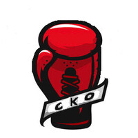 Cost Killing Optimisation logo - Similar company to Sofigec