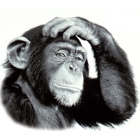 INSIGNIA16 LTD - Patches logo - Similar company to Reflex Systems