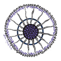 Rhodanthe Lipsett Indigenous Midwifery Charitable Fund logo - Similar company to Yiayia Next Door