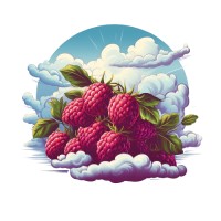 CLOUDeBERRY logo - Similar company to Cubicus Technologies