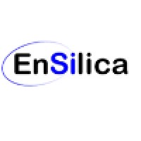 EnSilica logo - Similar company to Smartdv Technologies