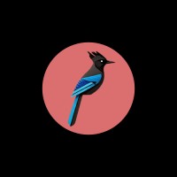Stellar Strat logo - Similar company to Curious & Co