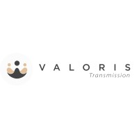 Valoris Transmission logo - Similar company to Talion Group