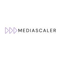 Media Scaler logo - Similar company to Mediascalers