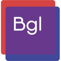 Bitgraylabs logo - Similar company to Paradox Data