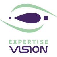 Expertise Vision logo - Similar company to Idmc