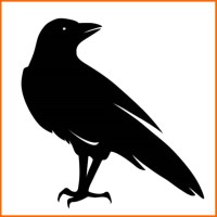 Raven Clinical logo - Similar company to Fawcett Publications