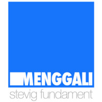 Menggali Finance & IT B.V. logo - Similar company to Stone22