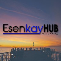 EsenkayHub Technologies Ltd logo - Similar company to Jighi