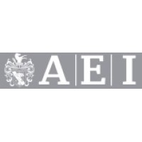AEI Global Consulting logo - Similar company to Vidfee Ug