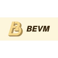 BEVM FOUNDATION logo - Similar company to Daobase