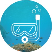 Eco.dive logo - Similar company to Proteimax