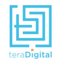 teraDigital Services (TDS) logo - Similar company to Reactbris
