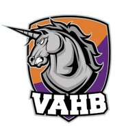 Villeneuve Ablon Handball