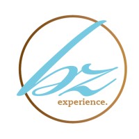 borderzone experience logo - Similar company to Cea Certification Gmbh