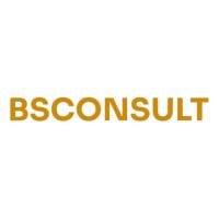 BS Consult logo - Similar company to Potential Infinity