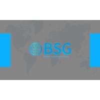 Bareket Semiconductor Group Ltd logo - Similar company to Eviro Labs