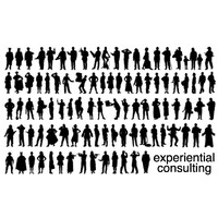 Experiential Consulting