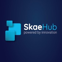 SkaeHub logo - Similar company to Clarion Technology Ltd.
