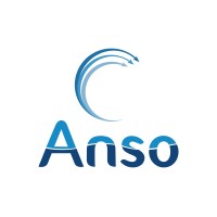 ANSO SRL logo - Similar company to Aurora Technologies