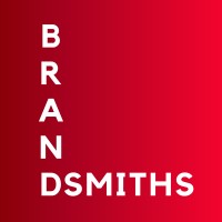 Brandsmiths logo - Similar company to Medi-Access Solutions