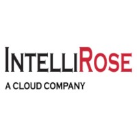 INTELLIROSE SOFTWARE INDIA PRIVATE LIMITED logo - Similar company to Irslogics