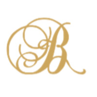 Brains Media Solutions Pvt Ltd. logo - Similar company to Shashidev Web Solutions