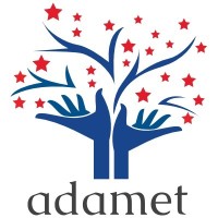 Adamet Motors Pvt Ltd logo - Similar company to Accfin