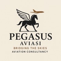 Pegasus Aviasi Group logo - Similar company to Opts Solutes