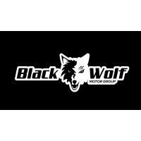 Black Wolf Motor Group logo - Similar company to Pancom Cape Town