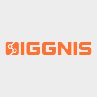 IGGNIS logo - Similar company to American Investments In Technology