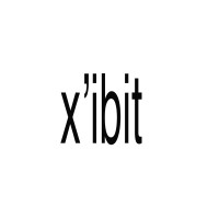 X'ibit logo - Similar company to Namoona Studio
